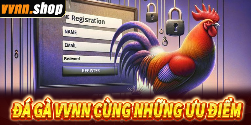 Đá gà vvnn và những điểm hấp dẫn